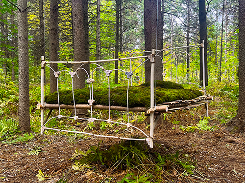 land art