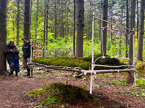 land art