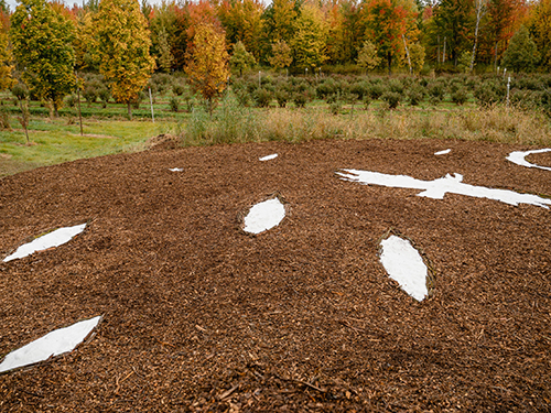 land art