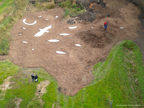 land art