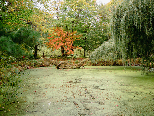 land art