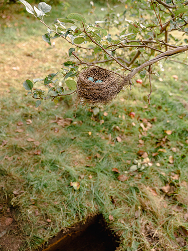 land art