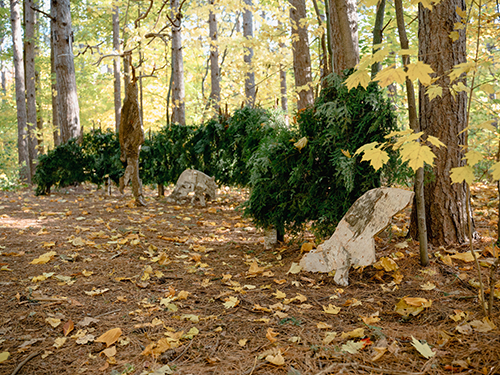 land art