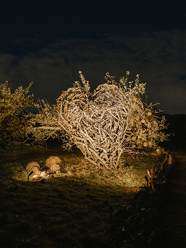 land art