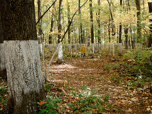 land art