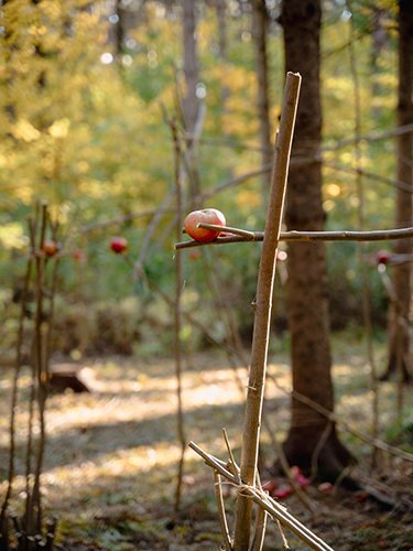 land art