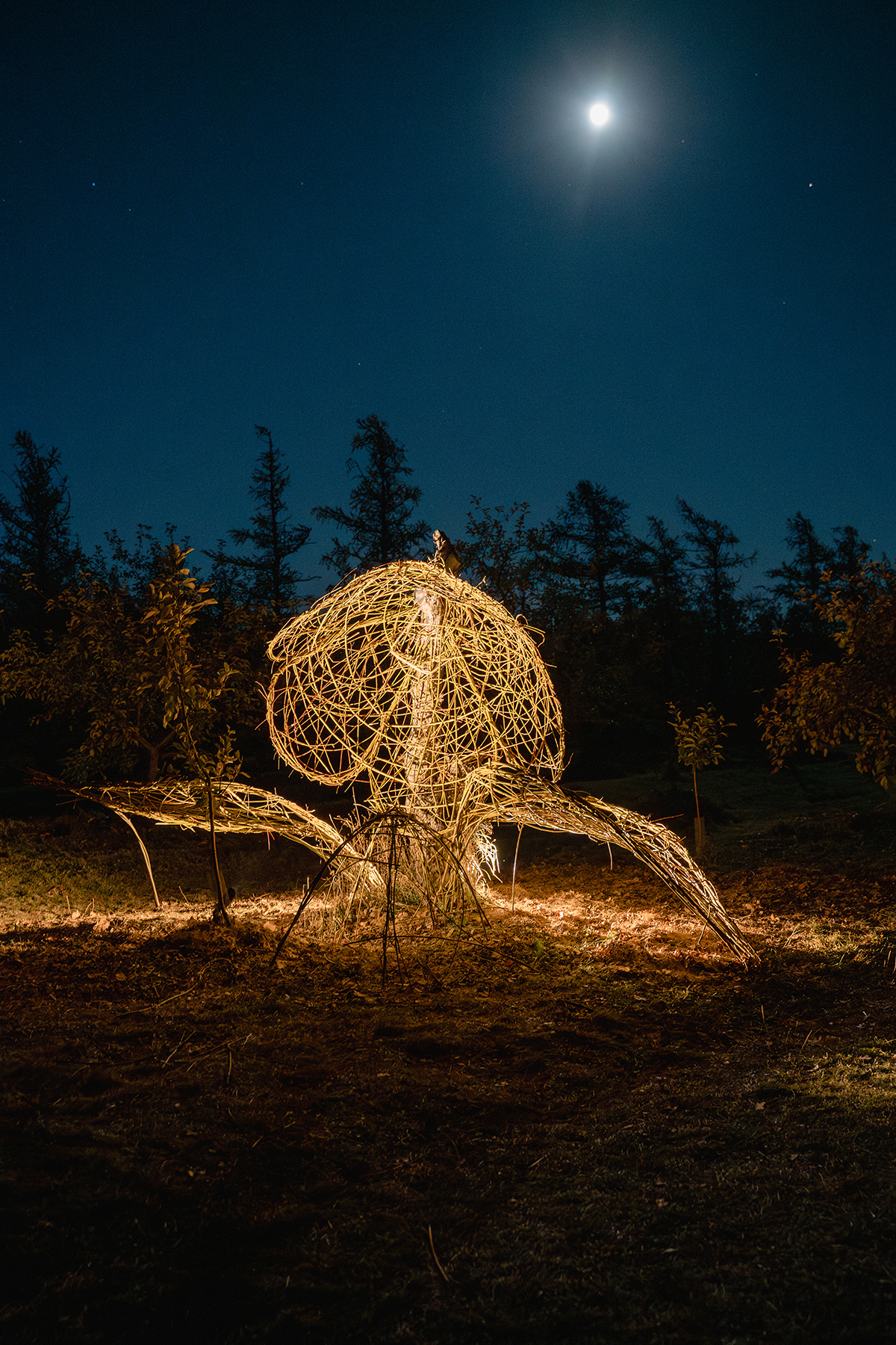 land art