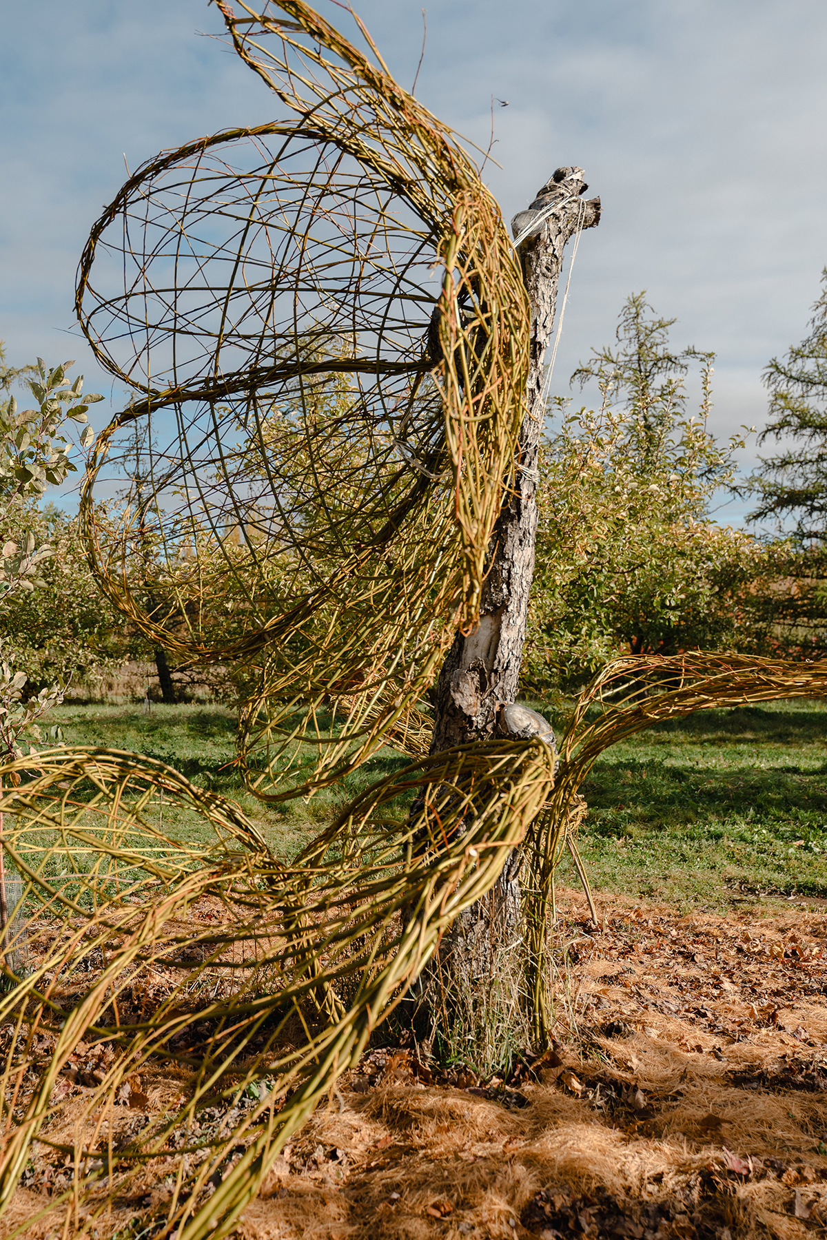 land art