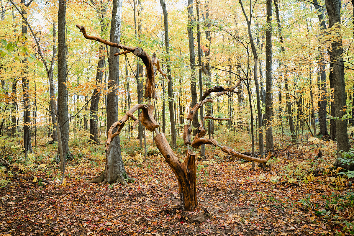 land art
