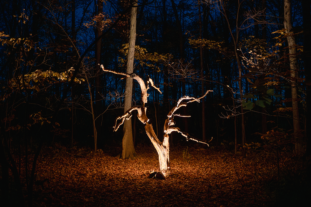 land art