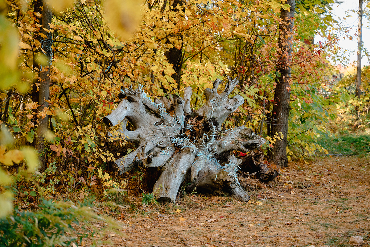 land art