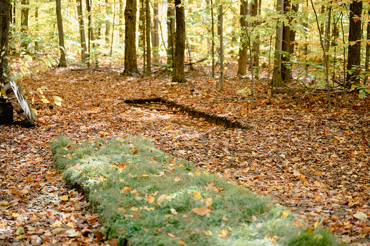 land art