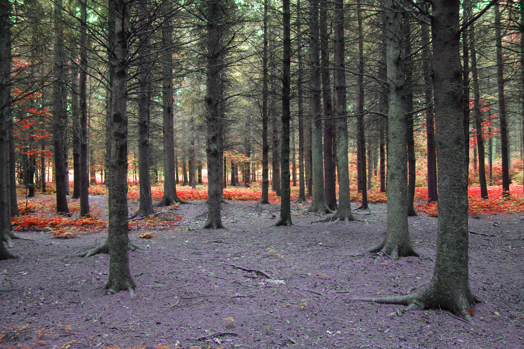 land art